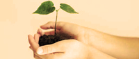 Expert comptable Toulouse
